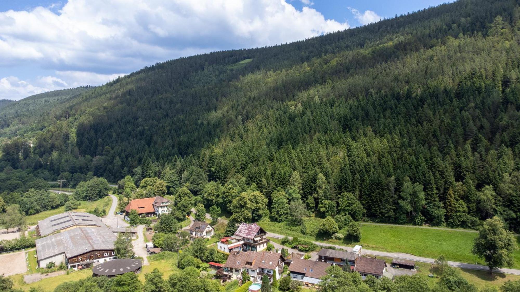 Black Forest Design Apartment Bad Wildbad Extérieur photo